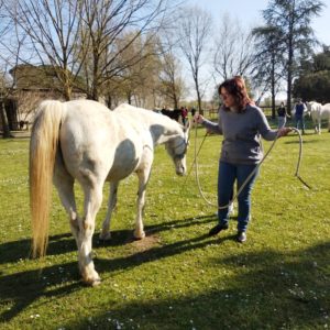 Alessandra team building cavalli in Toscana