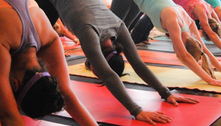 ginnastica-armonica